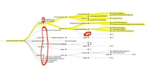 structure de site