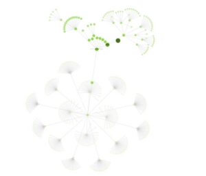 structure de site